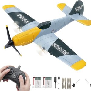 Aquard Duck RC Airplane